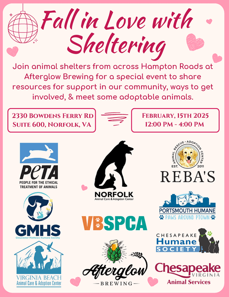 Fall in love with sheltering flyer with animal shelter logos from Hampton Roads.