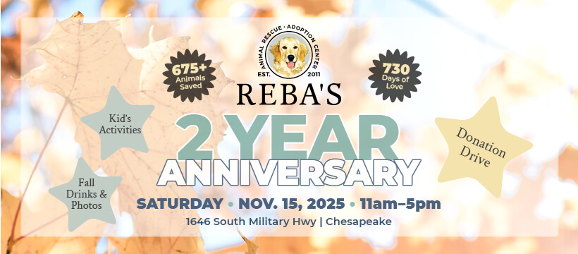2 year anniversary event graphic