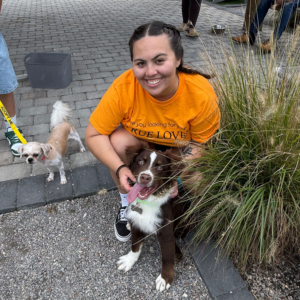 Volunteer in orange shirt squats down behind the Aussie puppy. The little tan dog is standing beside them on the left.