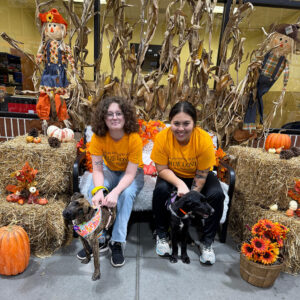 Two volunteers pose with the two puppies in front of the autumn themed background.