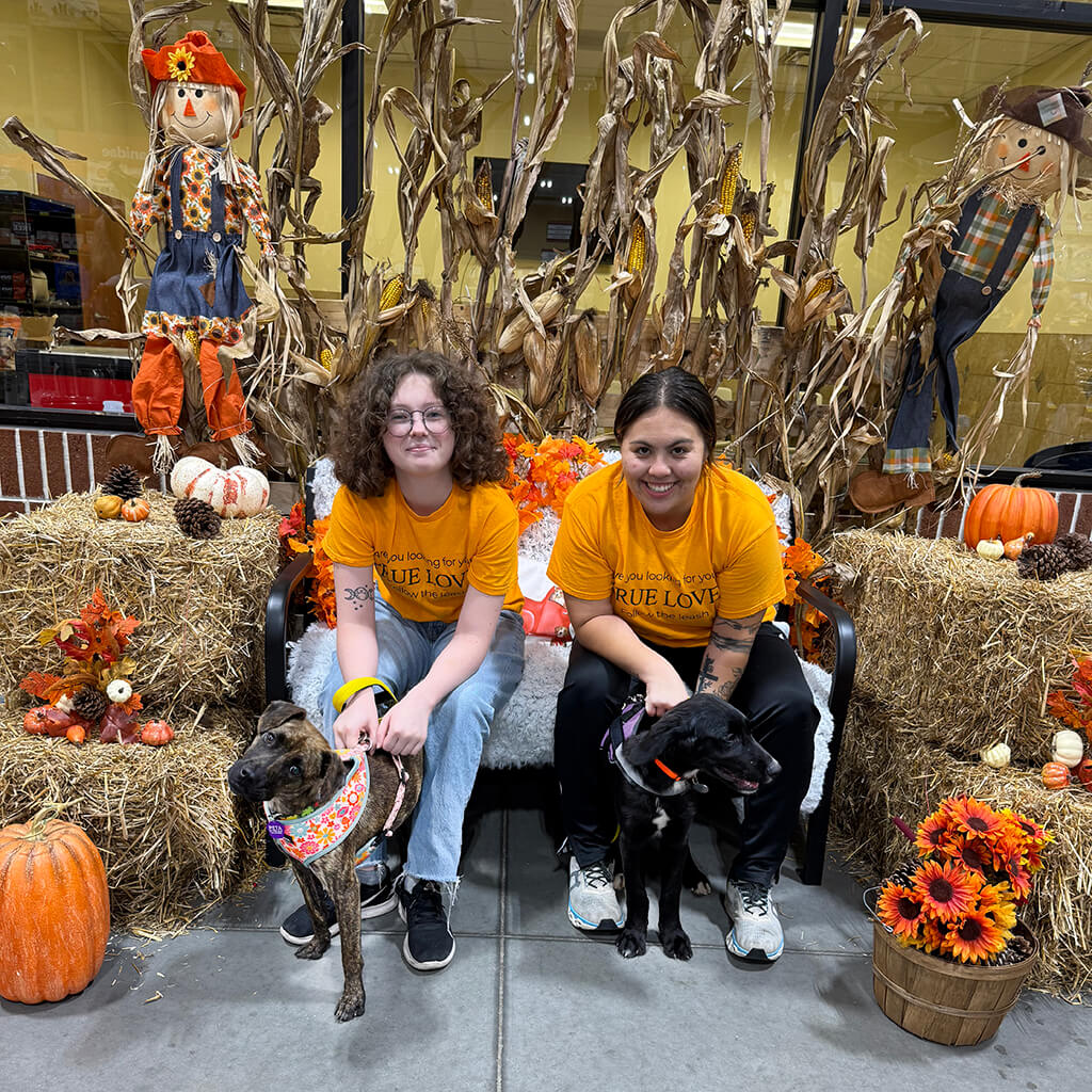 Two volunteers pose with the two puppies in front of the autumn themed background.