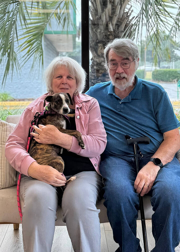 September 2025 adoption of Colleen a brown and white dog