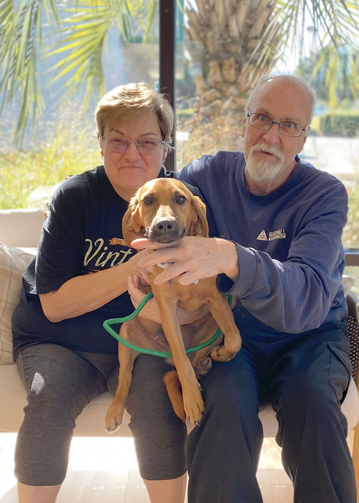 Adoption photo of Croc