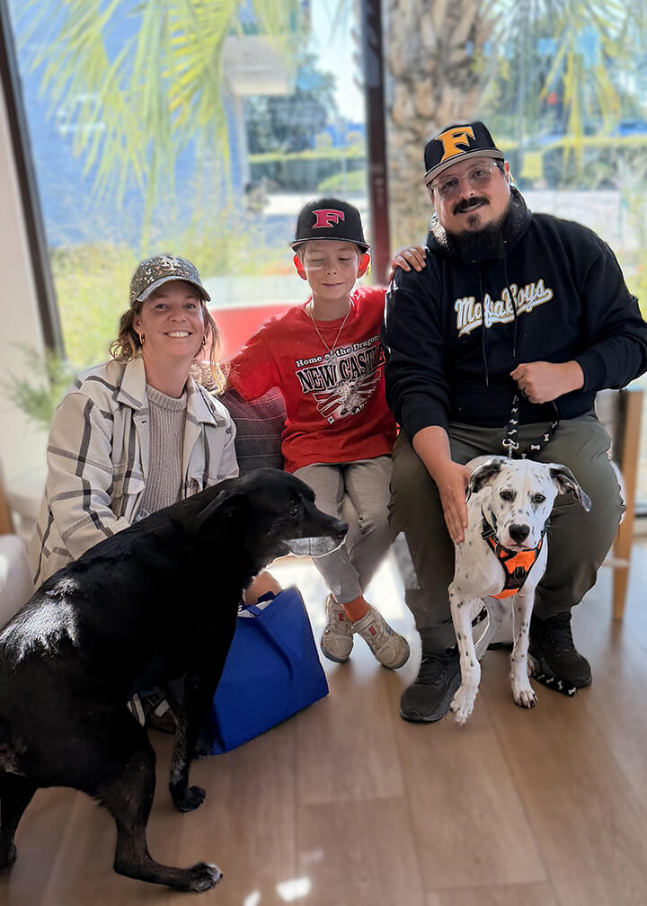 Adoption photo of Oreo