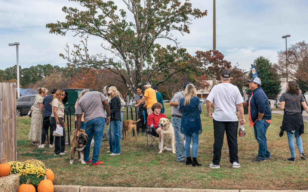 There was a fenced in area in the grass for visitors to play with the puppies.