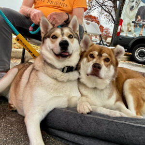 Babe and Buster are a bonded mother and son cuddled up next to each other.