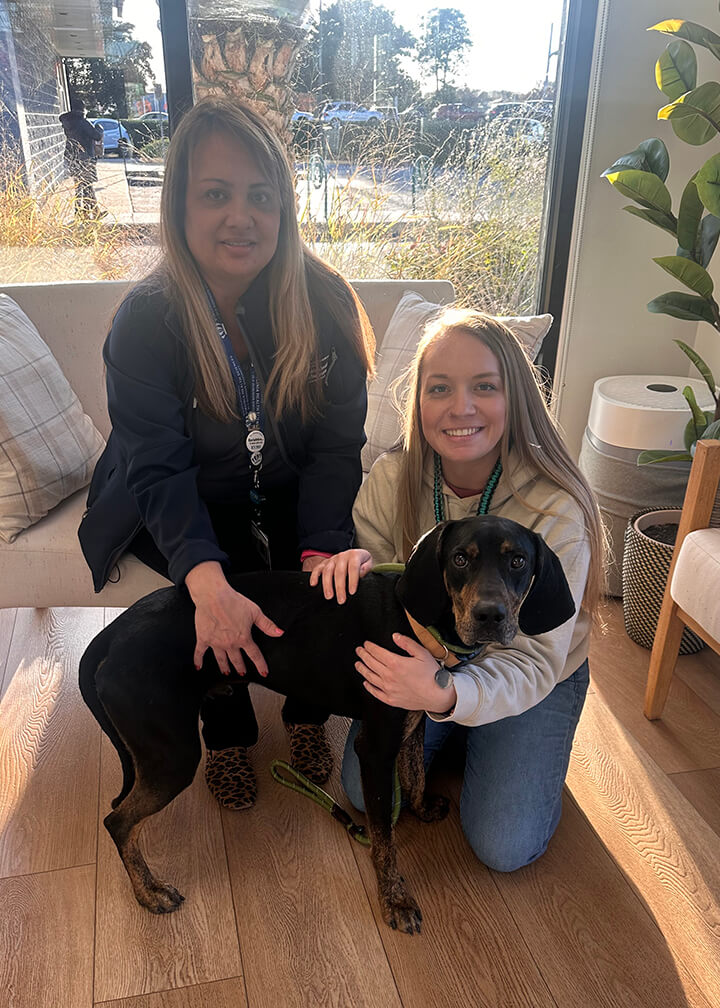 Adoption photo for Raditz