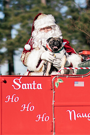 Photos with Santa event 2025