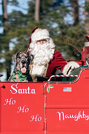 Photos with Santa event 2025