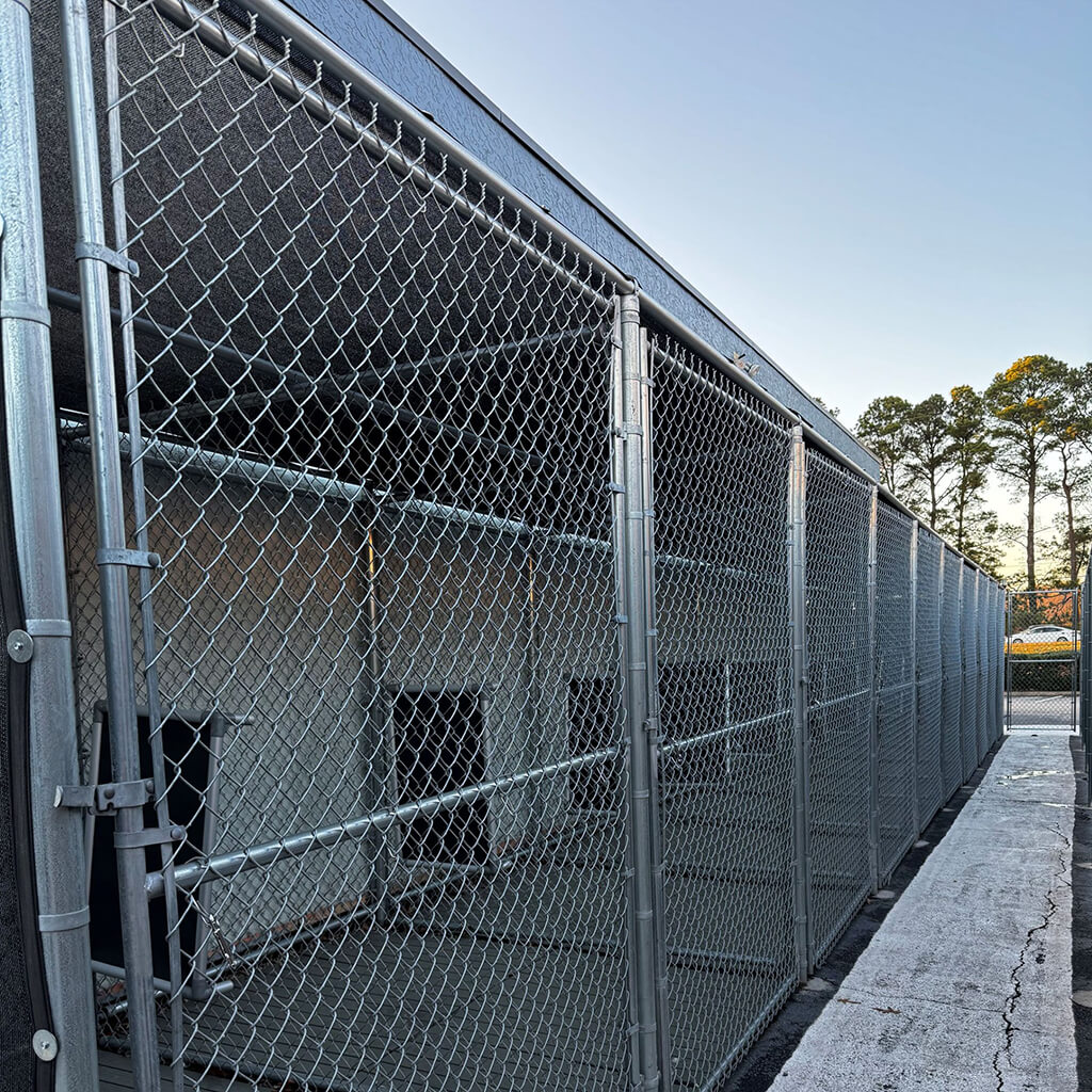 Outside kennel run with chain link cages and cement run