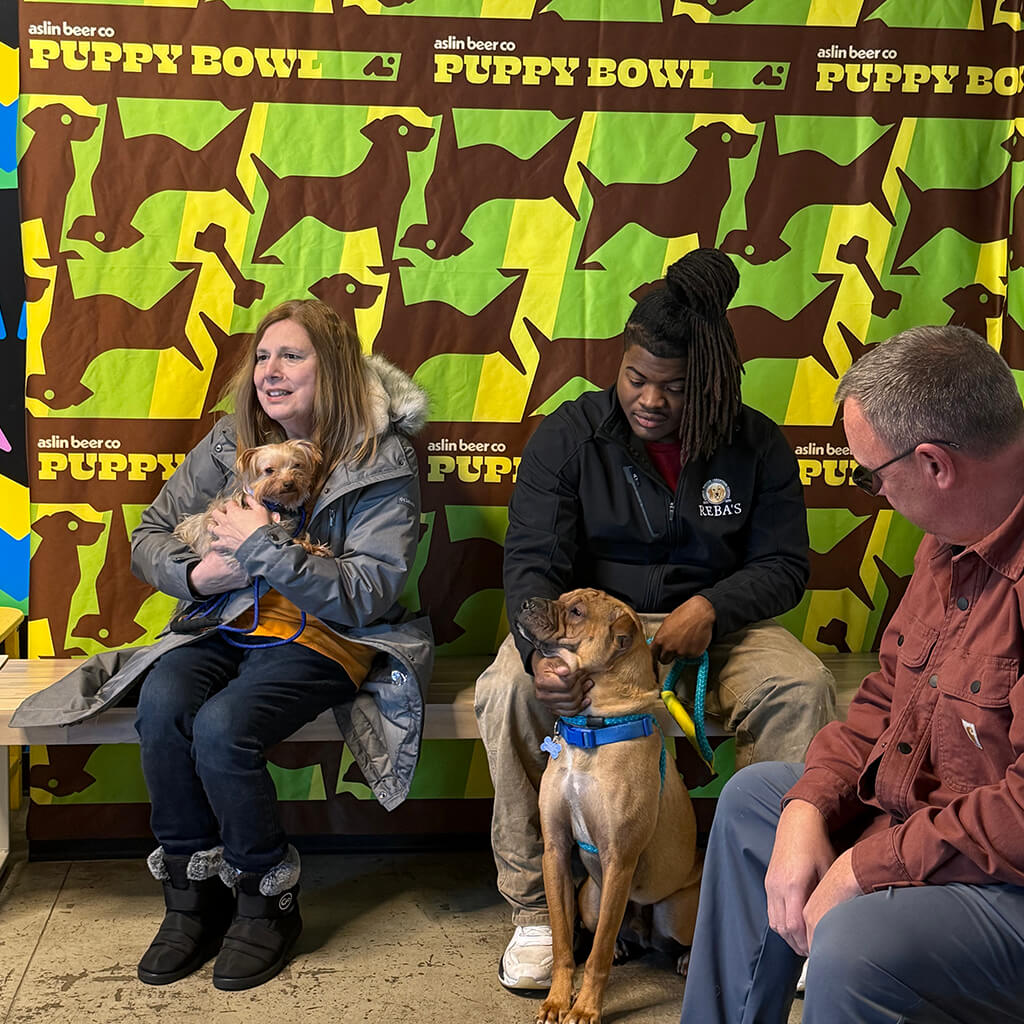 Volunteers and staff keeping the adoptees calm at the Puppy Bowl