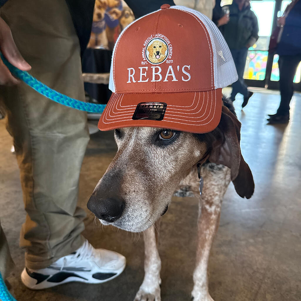 Our hound mix wears an orange Reba's baseball hat at the Puppy Bowl