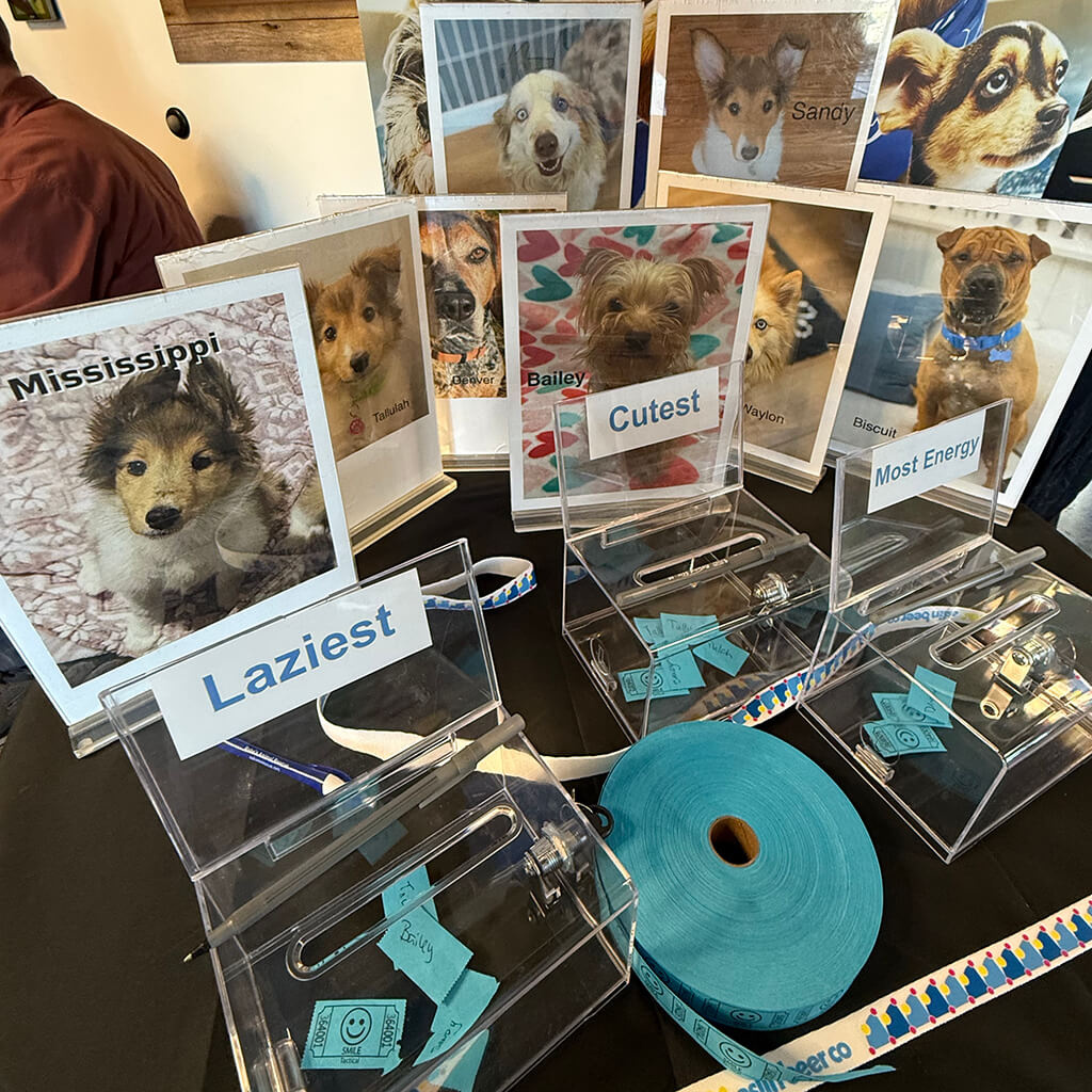 Dog contest with voting boxes at the Puppy Bowl