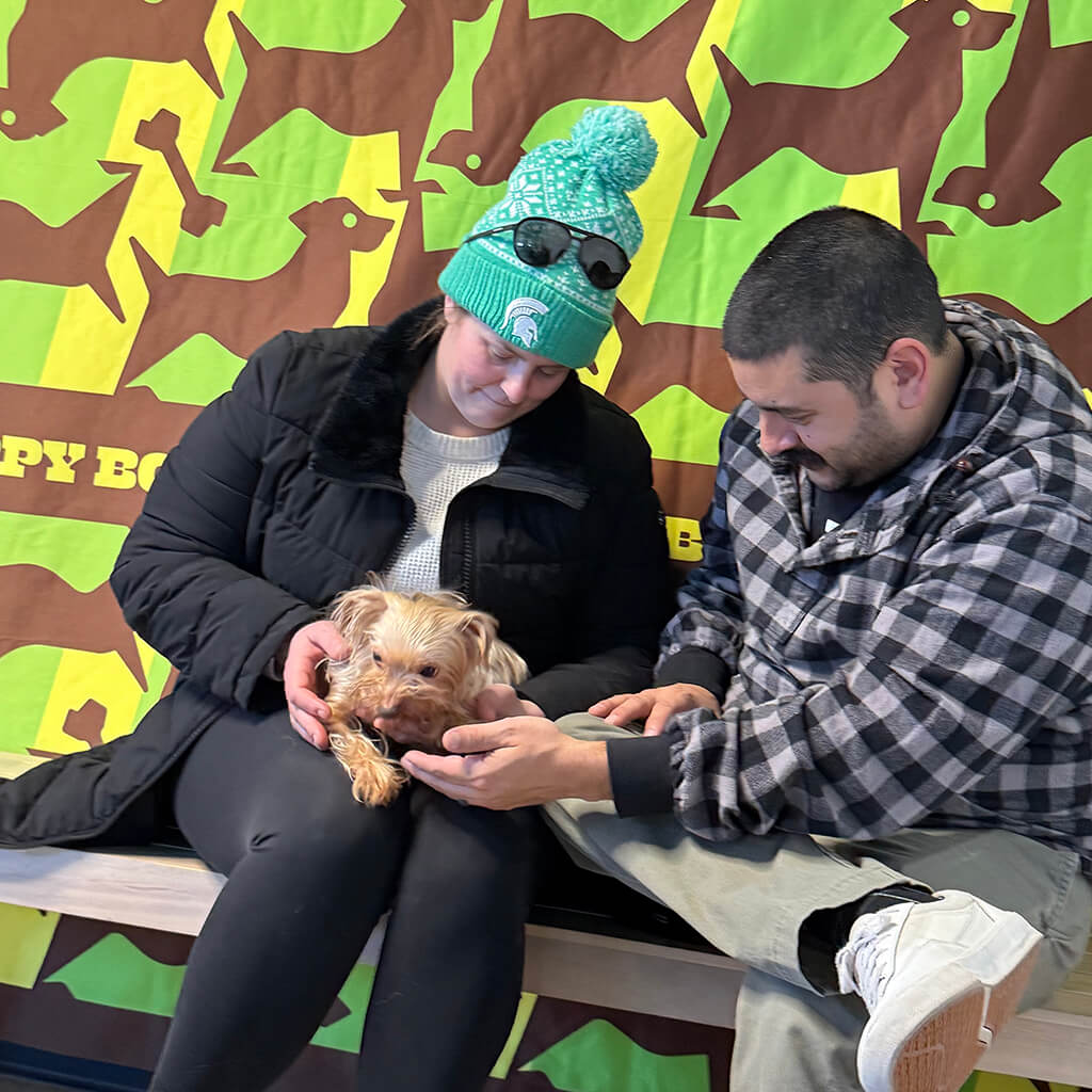 The little brown dog gets lots of attention from a visiting couple at the Puppy Bowl