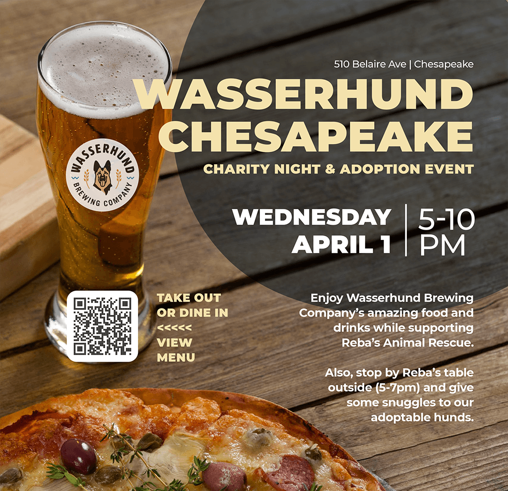 wasserhund dine to donate information
