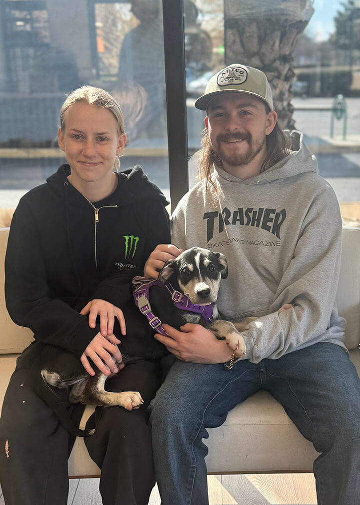 February 2026 Adoption of Maya