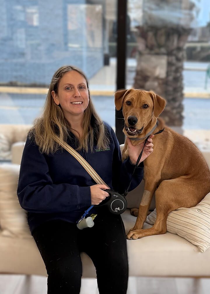 February 2026 Adoption of Ollie