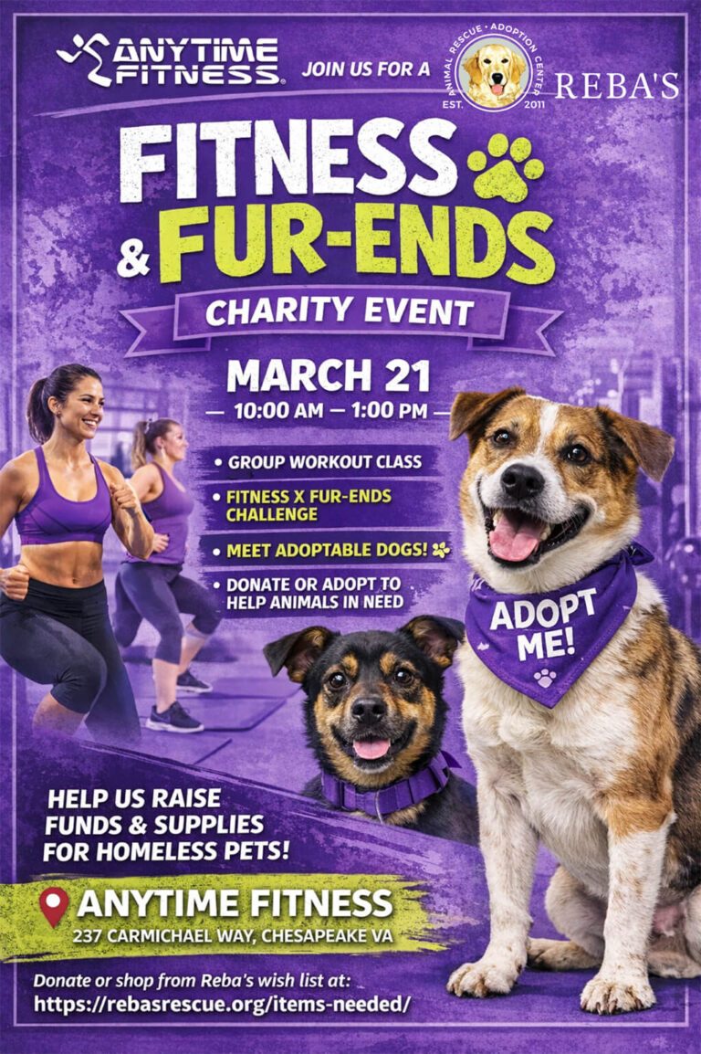 Anytime Fitness Charity Event called Fitness and Fur-ends graphic