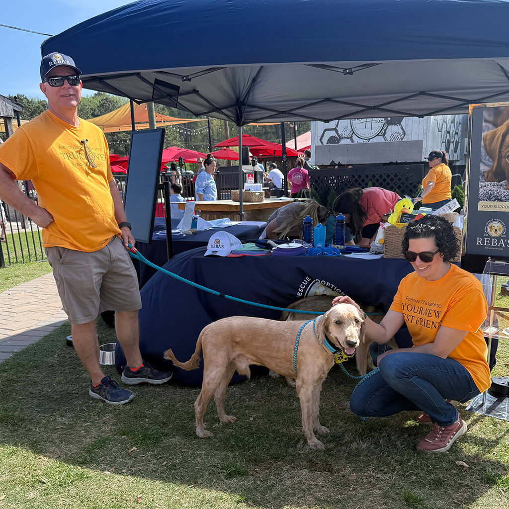 Volunteers pose with the dog that was shaved