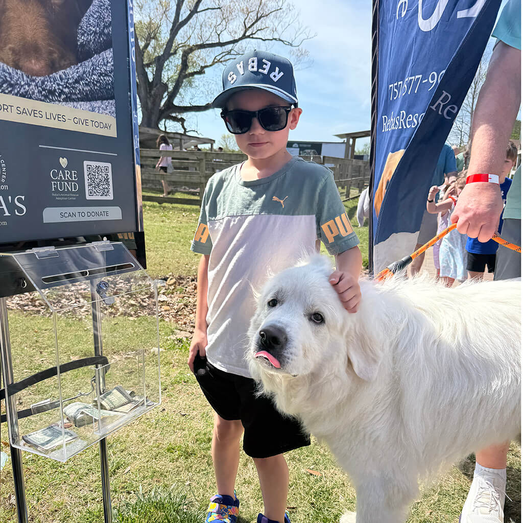 A little dog poses with a large white dog
