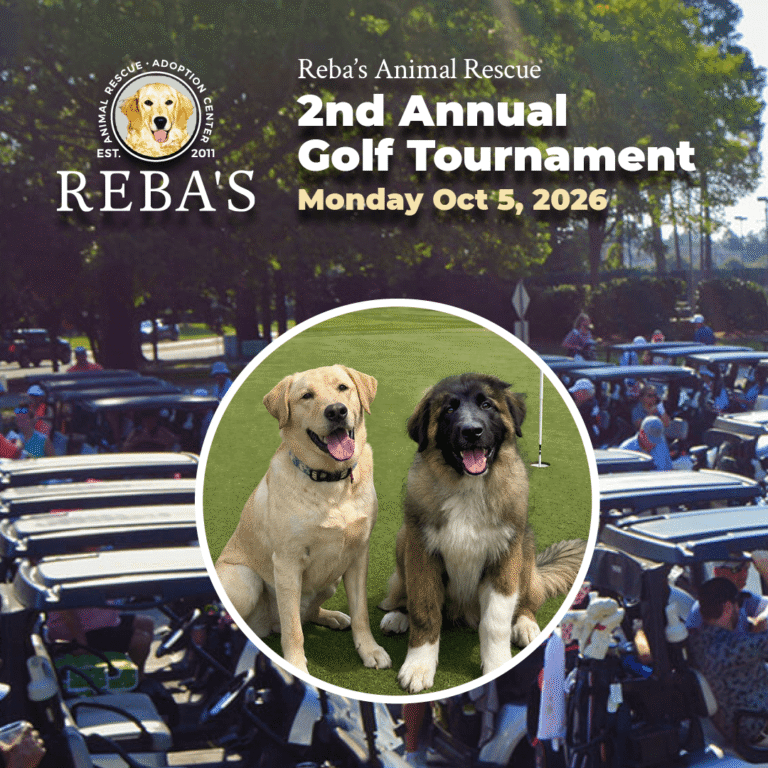 2nd annual golf tournament graphic