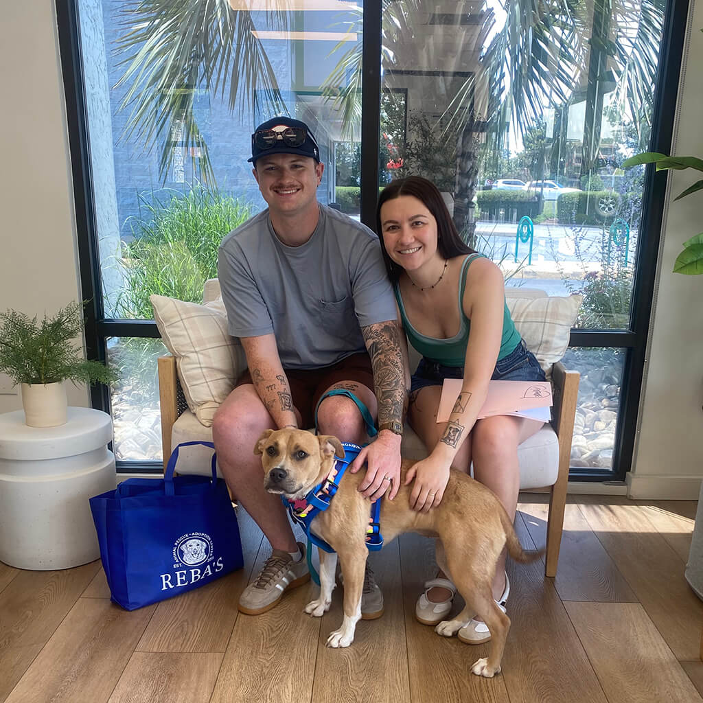 June 2026 adoption of Toffee
