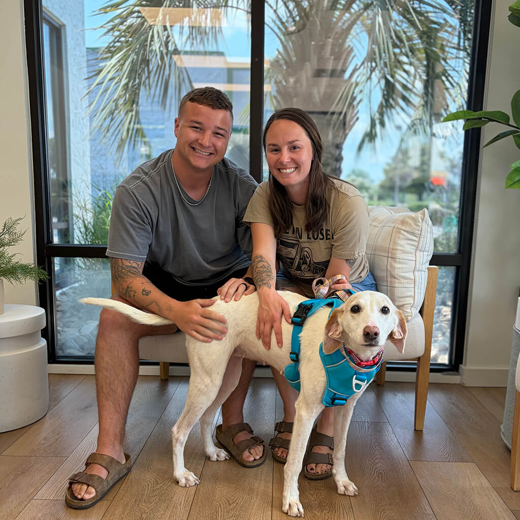 July 2026 adoption of Ellie Mae