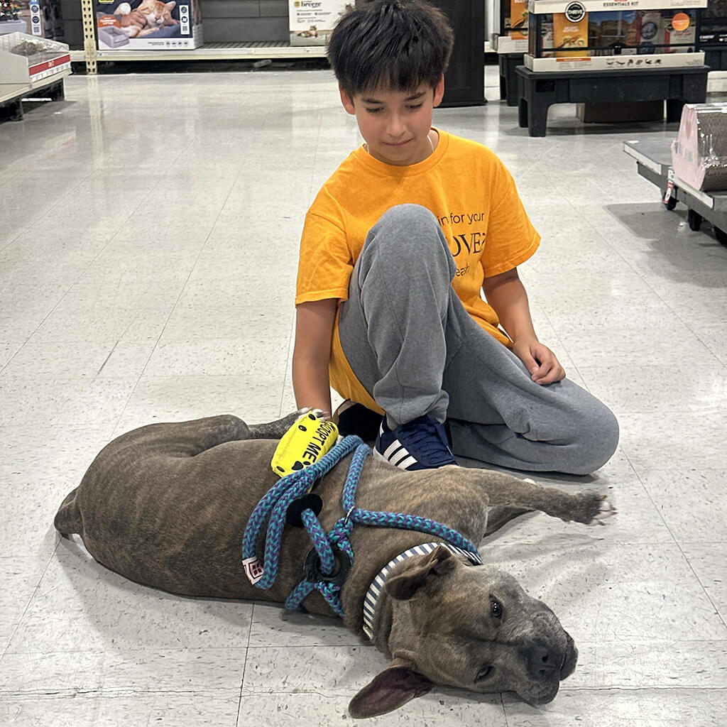 PetSmart Adoption Week July 20-26