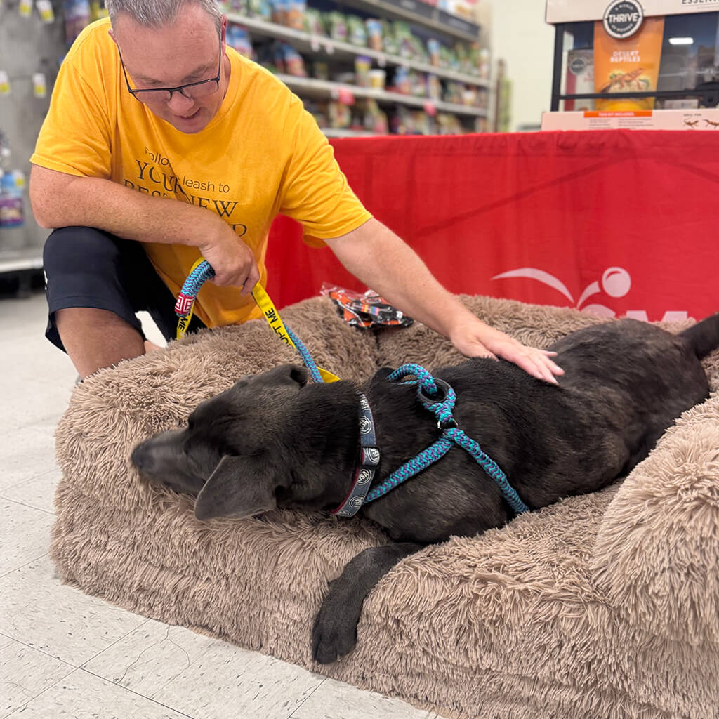 PetSmart Adoption Week July 20-26