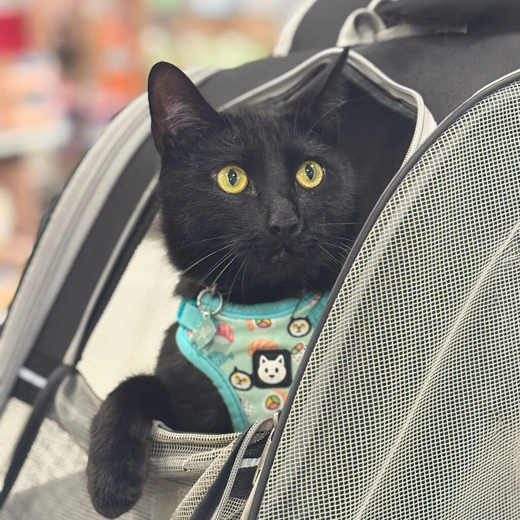 PetSmart Adoption Week July 20-26