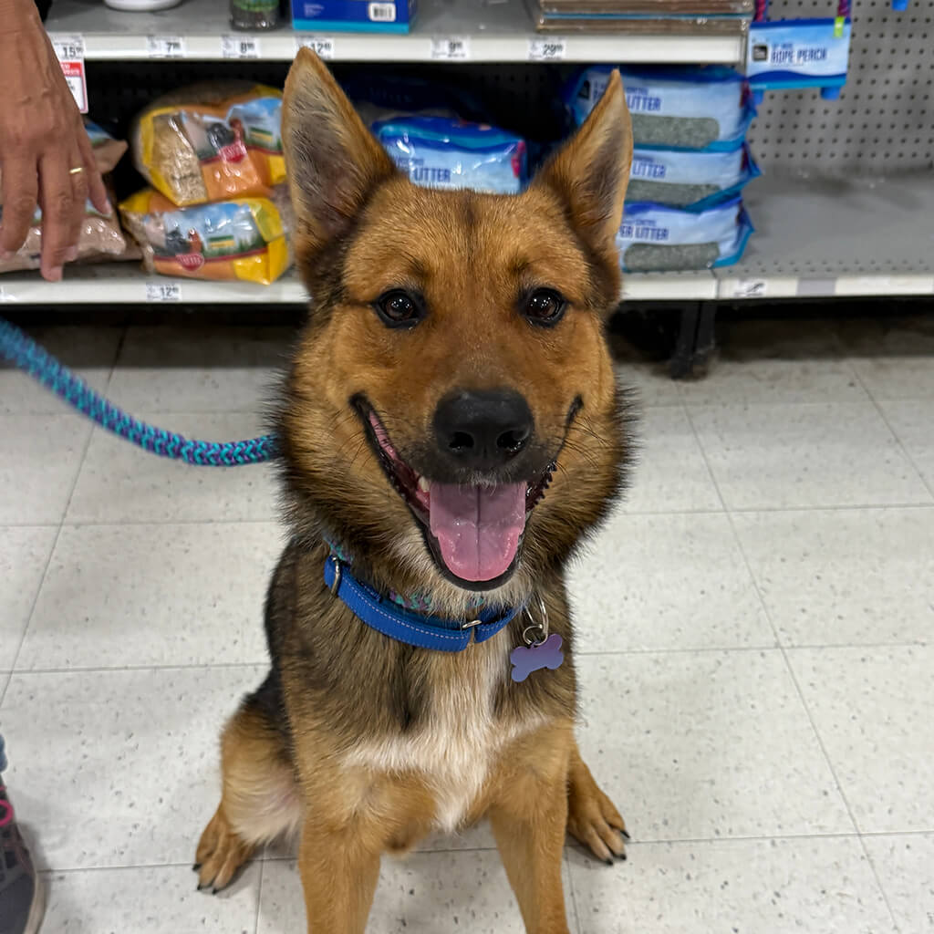 PetSmart Adoption Week July 20-26