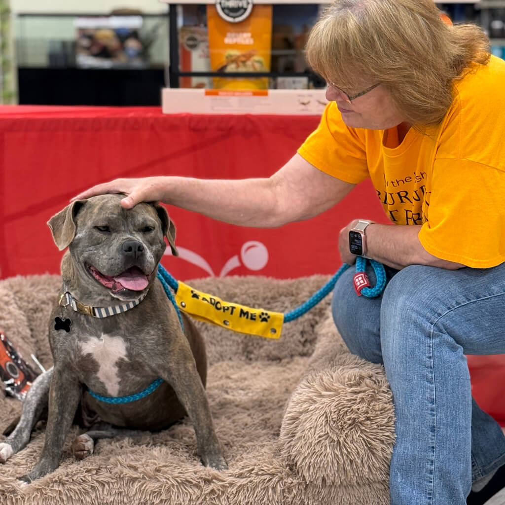 PetSmart Adoption Week July 20-26