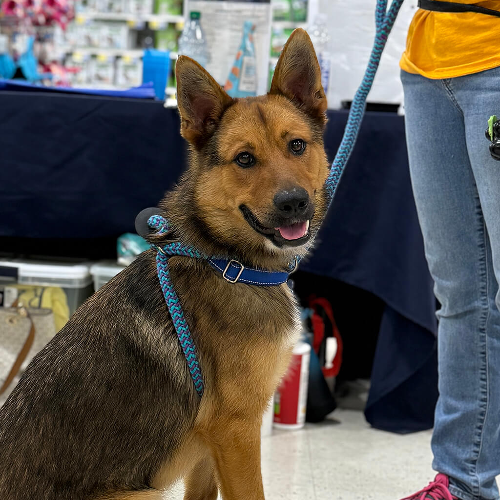 PetSmart Adoption Week July 20-26