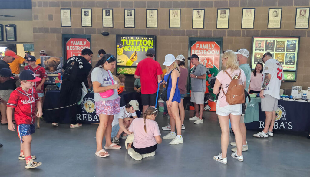 Wide view of all the visitors to pet the dogs