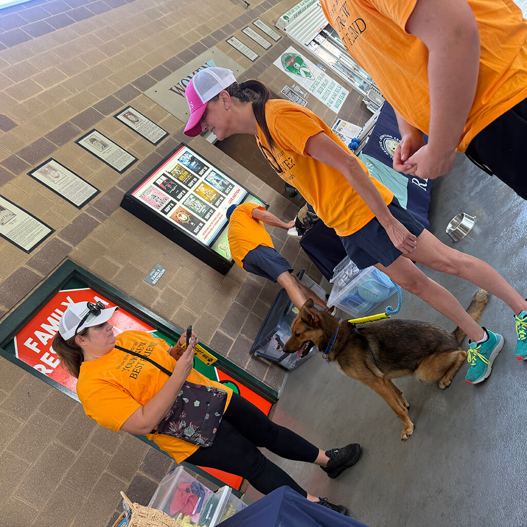 Our volunteers