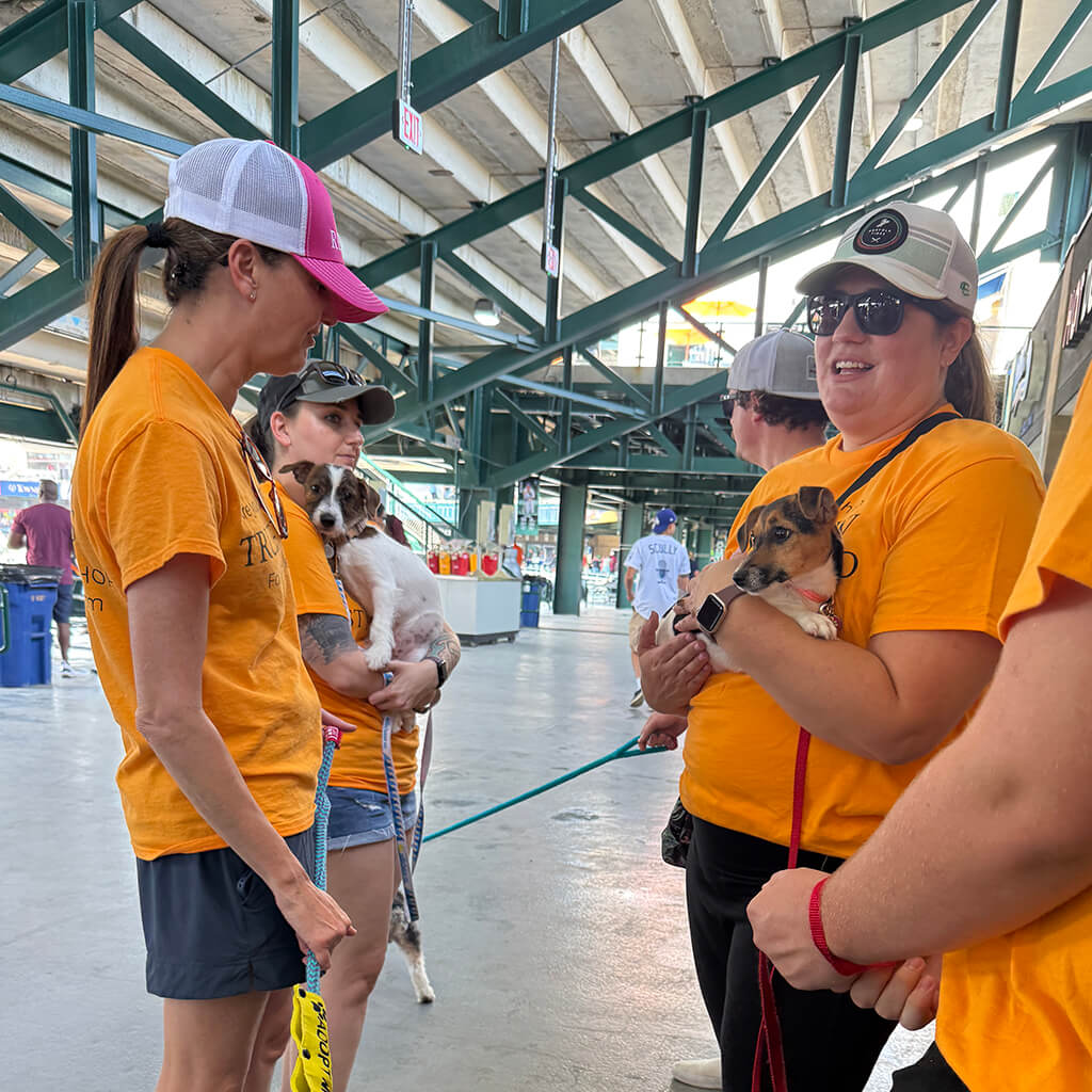 Our volunteers
