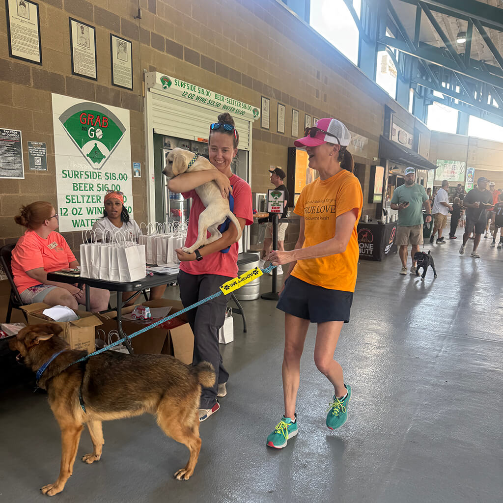 Two of our helpers walk a couple dogs through harbor park