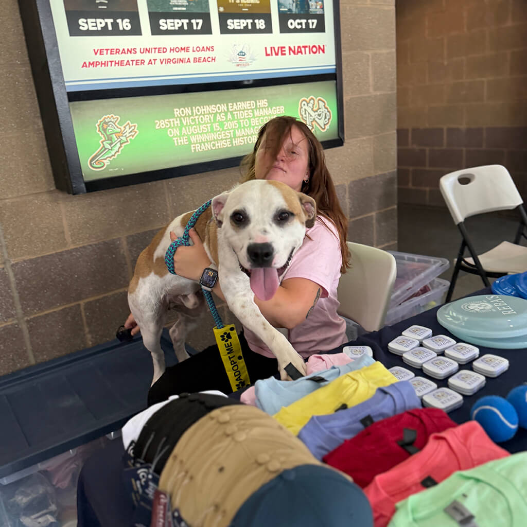 Happy dog being held by our volunteers
