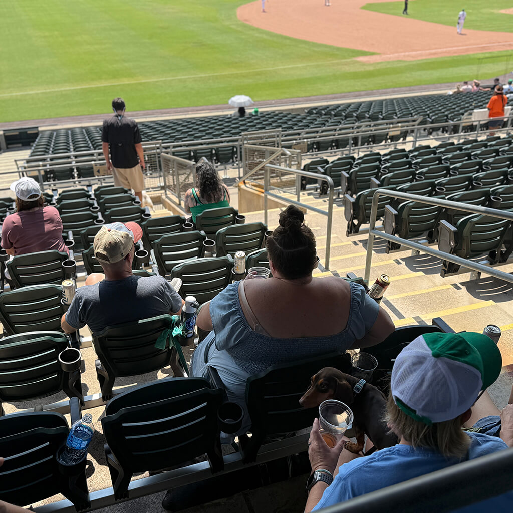 Harbor park seats and field view
