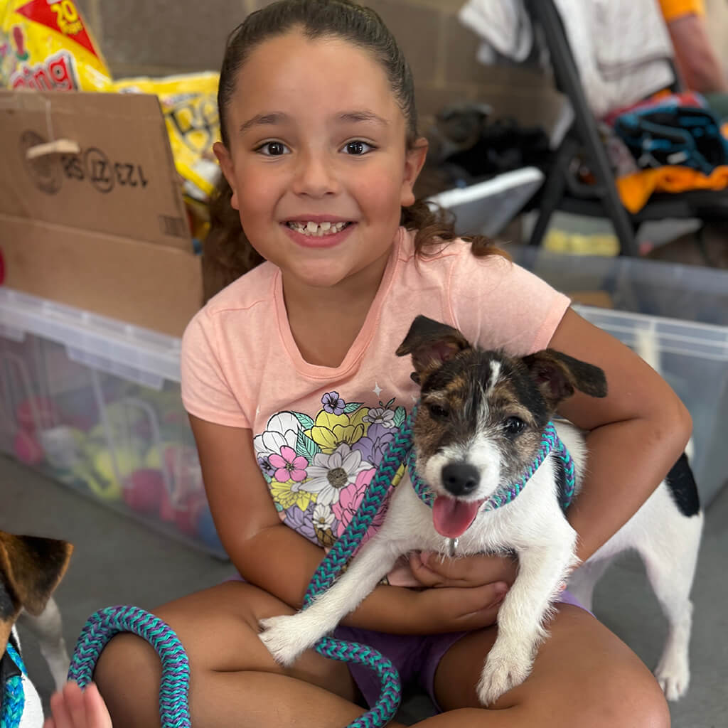 Little girl holding one of our jack Russel terriers