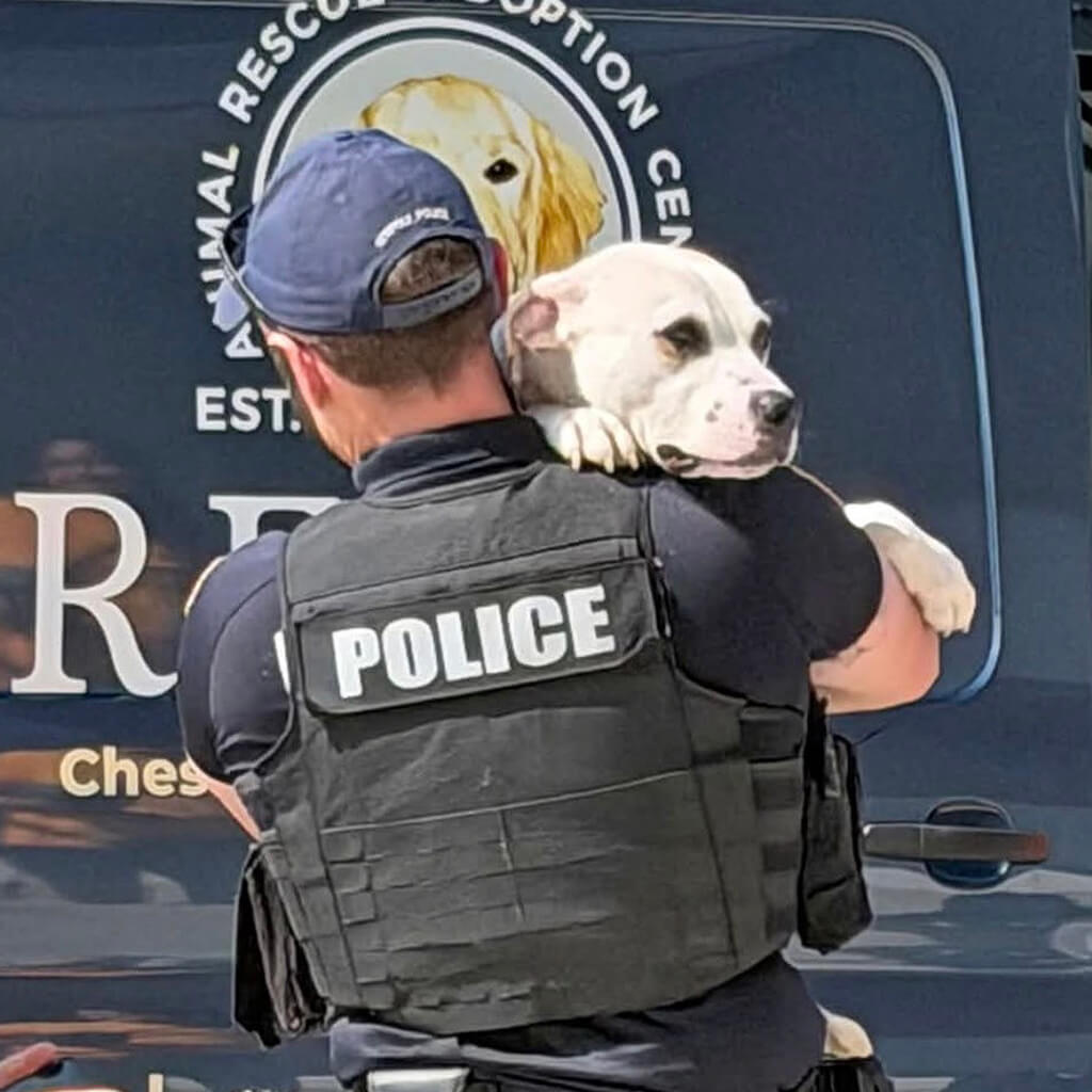 police holding one of the rescue dogs beside the van