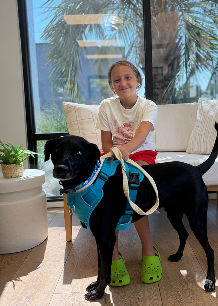 September 2026 Adoption of Tango